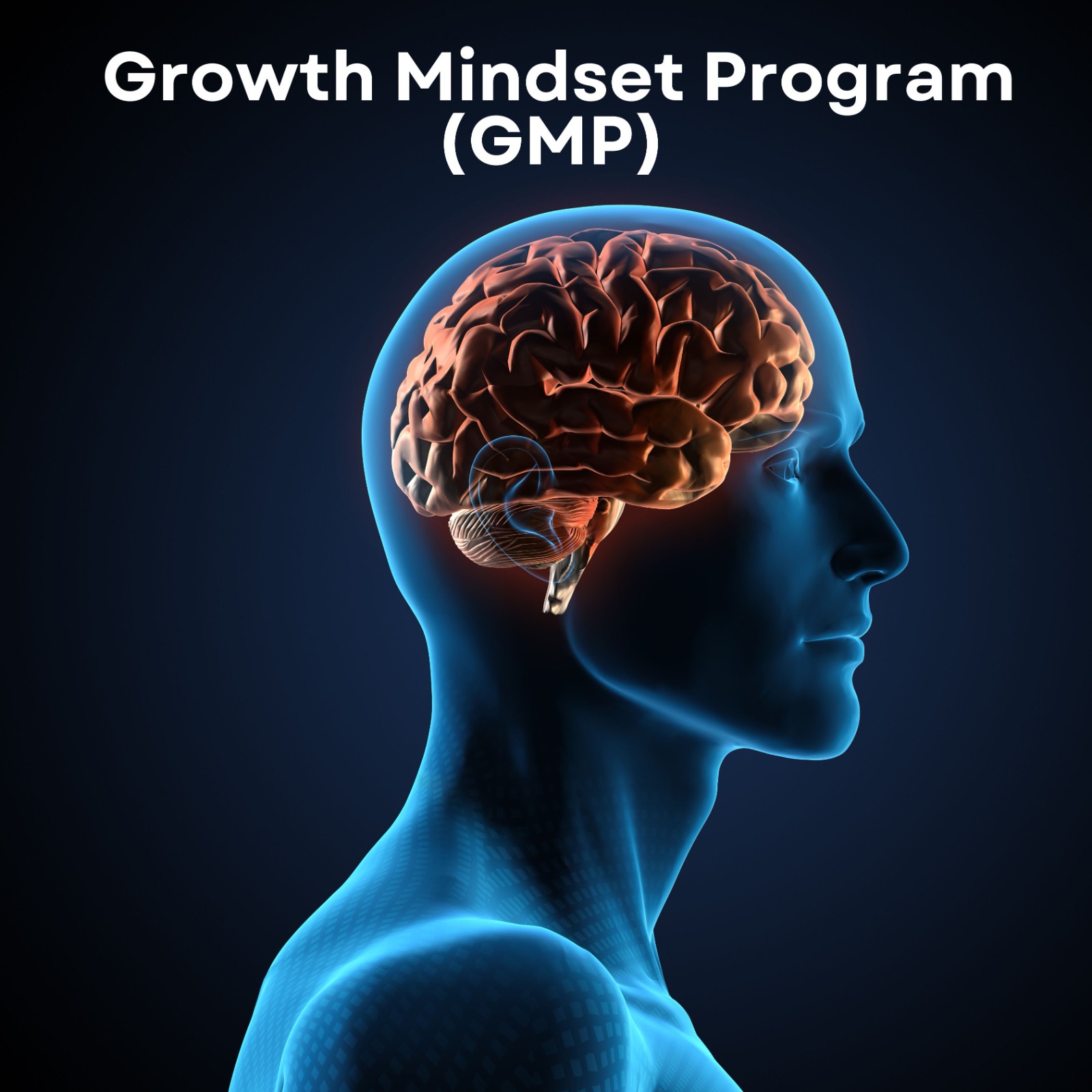 Growth Mindset Program